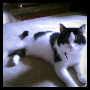 Meet your Posher, Emma